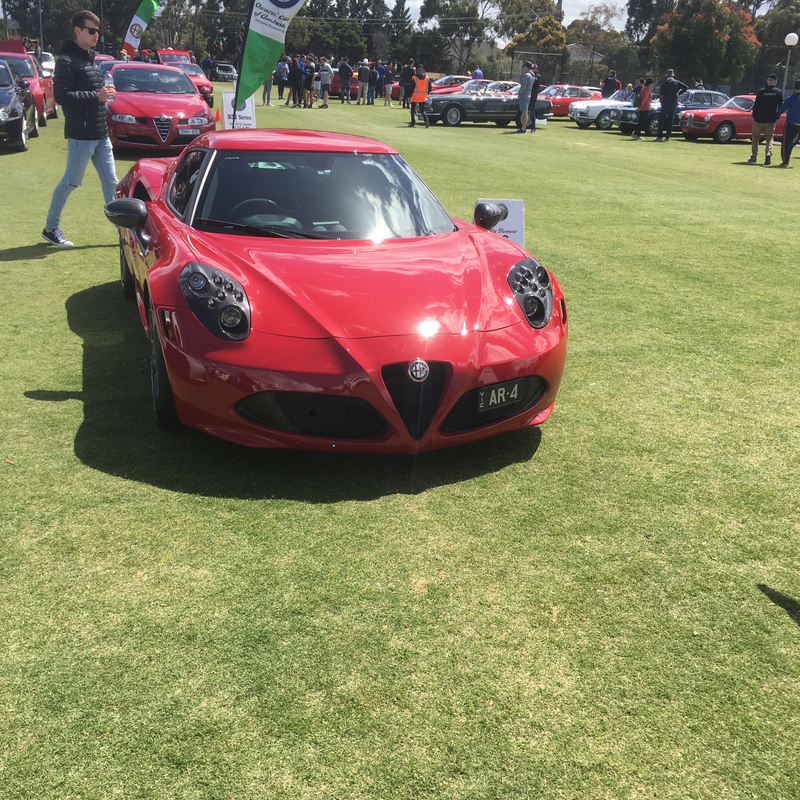 Illustration for article titled Alfa car show pic dump
